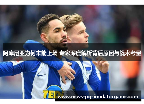 阿库尼亚为何未能上场 专家深度解析背后原因与战术考量