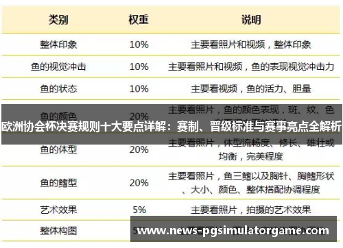 欧洲协会杯决赛规则十大要点详解：赛制、晋级标准与赛事亮点全解析
